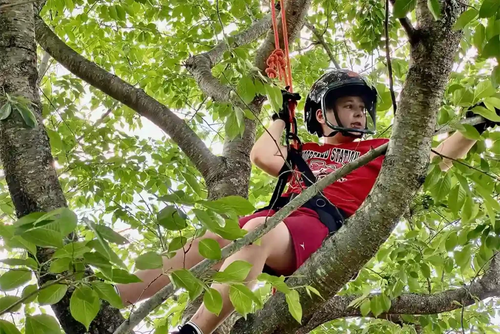 climbing trees at camp can aqua summer camp